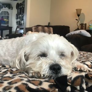 Meet your Posher, Gianna